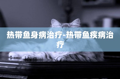 熱帶魚身病治療-熱帶魚疾病治療