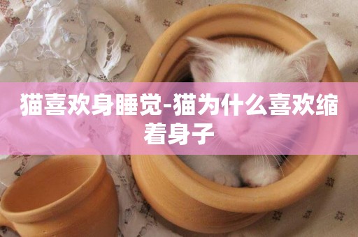 貓喜歡身睡覺-貓為什么喜歡縮著身子