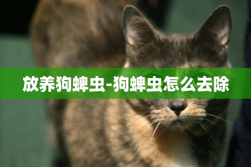 放養狗蜱蟲-狗蜱蟲怎么去除