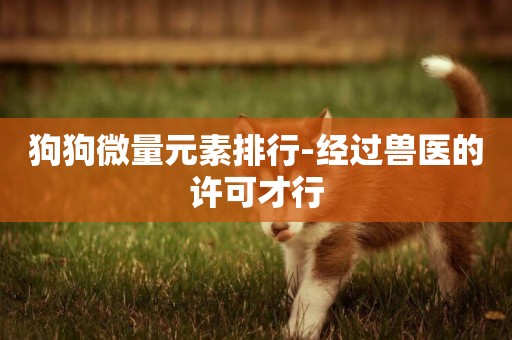 狗狗微量元素排行-經過獸醫的許可才行