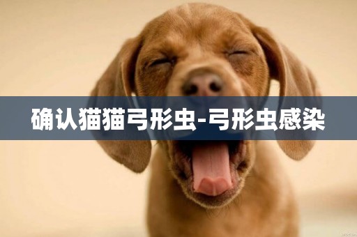 確認貓貓弓形蟲-弓形蟲感染