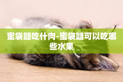 蜜袋鼯吃什肉-蜜袋鼯可以吃哪些水果