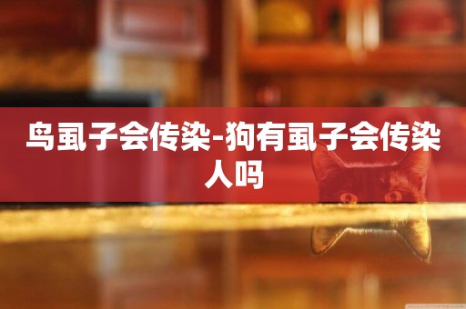 鳥虱子會傳染-狗有虱子會傳染人嗎