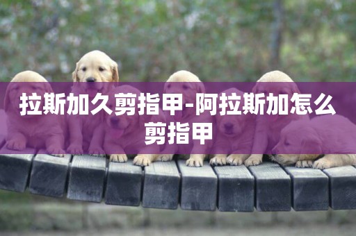 拉斯加久剪指甲-阿拉斯加怎么剪指甲