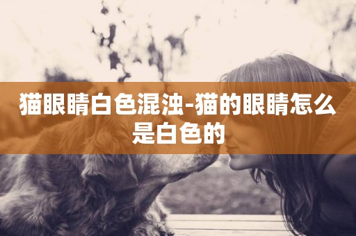 貓眼睛白色混濁-貓的眼睛怎么是白色的