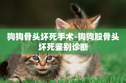 狗狗骨頭壞死手術-狗狗股骨頭壞死鑒別診斷
