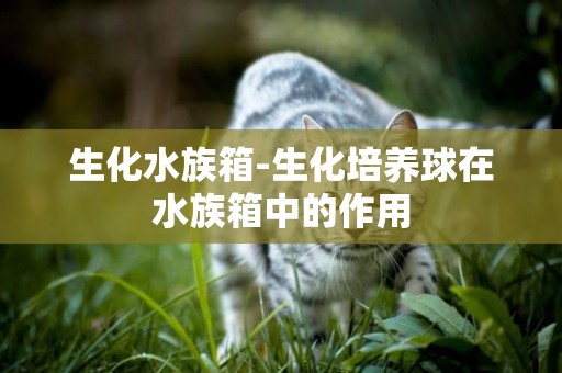 生化水族箱-生化培養球在水族箱中的作用