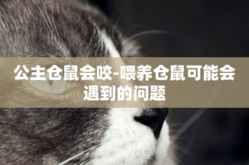 公主倉鼠會咬-喂養倉鼠可能會遇到的問題