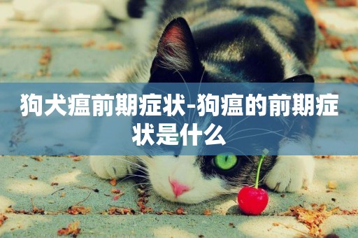 狗犬瘟前期癥狀-狗瘟的前期癥狀是什么