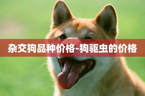 雜交狗品種價格-狗驅蟲的價格