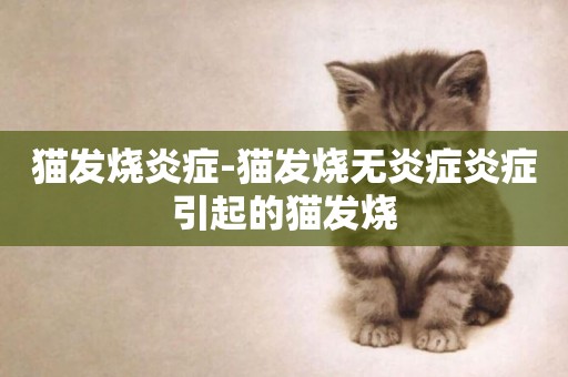 貓發燒炎癥-貓發燒無炎癥炎癥引起的貓發燒