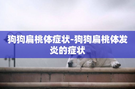狗狗扁桃體癥狀-狗狗扁桃體發炎的癥狀