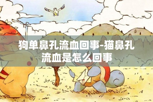 狗單鼻孔流血回事-貓鼻孔流血是怎么回事
