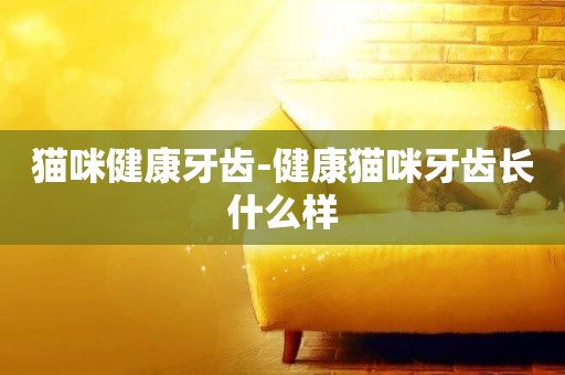 貓咪健康牙齒-健康貓咪牙齒長什么樣
