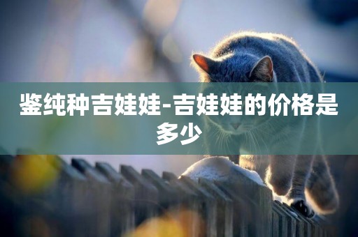 鑒純種吉娃娃-吉娃娃的價格是多少