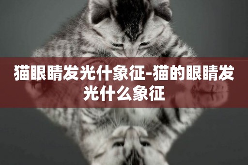 貓眼睛發光什象征-貓的眼睛發光什么象征