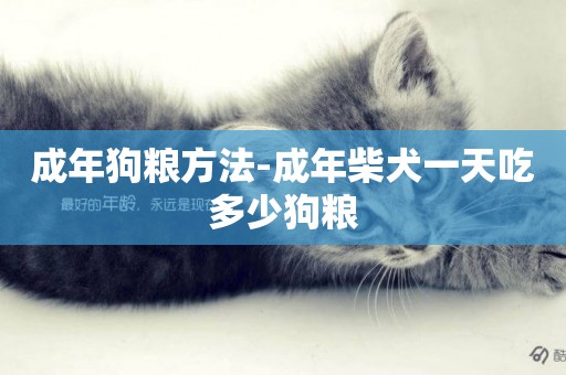 成年狗糧方法-成年柴犬一天吃多少狗糧