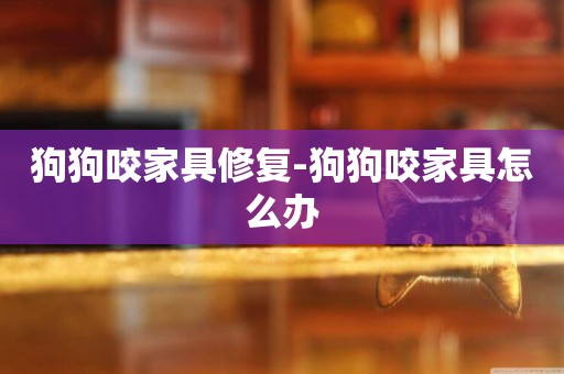 狗狗咬家具修復-狗狗咬家具怎么辦