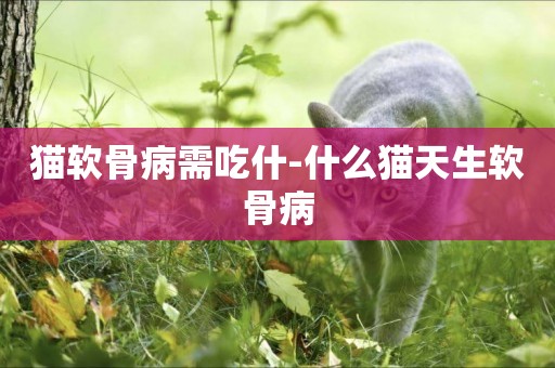 貓軟骨病需吃什-什么貓天生軟骨病