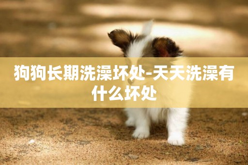 狗狗長期洗澡壞處-天天洗澡有什么壞處