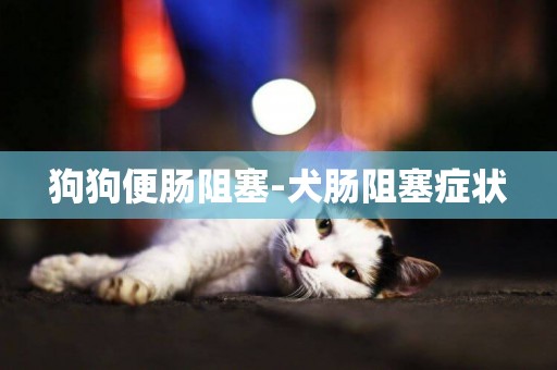 狗狗便腸阻塞-犬腸阻塞癥狀