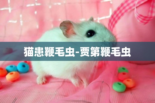 貓患鞭毛蟲-賈第鞭毛蟲
