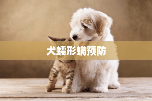 犬蠕形螨預防