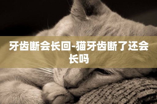 牙齒斷會長回-貓牙齒斷了還會長嗎