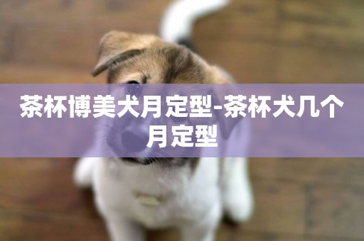 茶杯博美犬月定型-茶杯犬幾個月定型