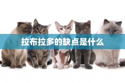 拉布拉多的缺點是什么