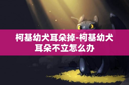 柯基幼犬耳朵掉-柯基幼犬耳朵不立怎么辦