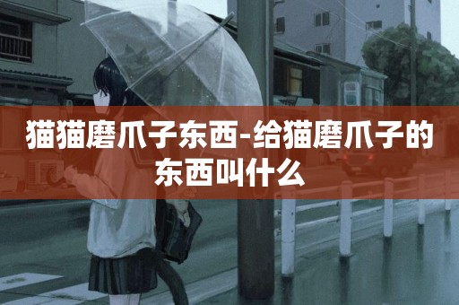 貓貓磨爪子東西-給貓磨爪子的東西叫什么