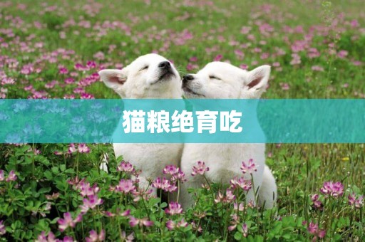 貓糧絕育吃