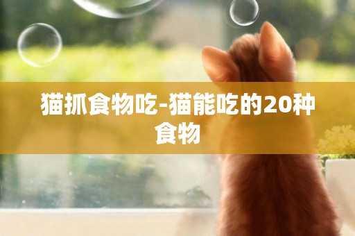 貓抓食物吃-貓能吃的20種食物