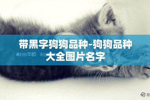 帶黑字狗狗品種-狗狗品種大全圖片名字