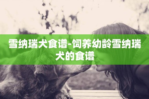 雪納瑞犬食譜-飼養幼齡雪納瑞犬的食譜