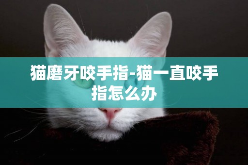 貓磨牙咬手指-貓一直咬手指怎么辦