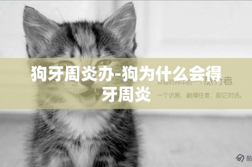 狗牙周炎辦-狗為什么會得牙周炎