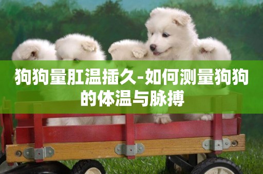 狗狗量肛溫插久-如何測量狗狗的體溫與脈搏