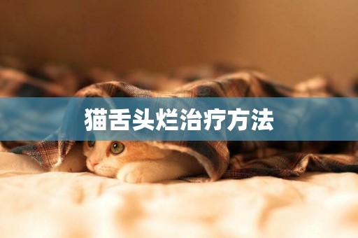 貓舌頭爛治療方法