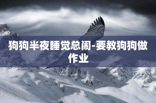 狗狗半夜睡覺總鬧-要教狗狗做作業