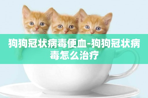 狗狗冠狀病毒便血-狗狗冠狀病毒怎么治療