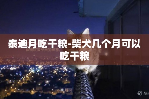 泰迪月吃干糧-柴犬幾個月可以吃干糧