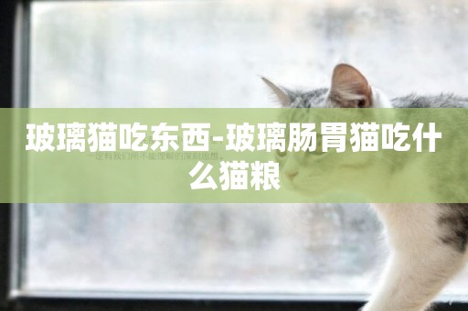 玻璃貓吃東西-玻璃腸胃貓吃什么貓糧
