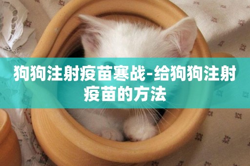 狗狗注射疫苗寒戰-給狗狗注射疫苗的方法