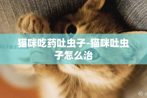 貓咪吃藥吐蟲子-貓咪吐蟲子怎么治