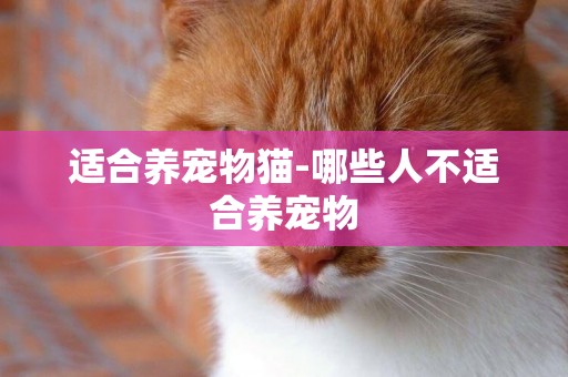適合養寵物貓-哪些人不適合養寵物