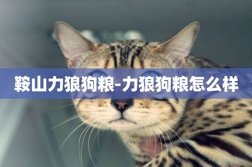 鞍山力狼狗糧-力狼狗糧怎么樣