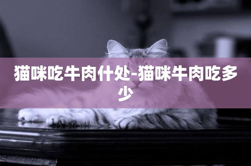 貓咪吃牛肉什處-貓咪牛肉吃多少