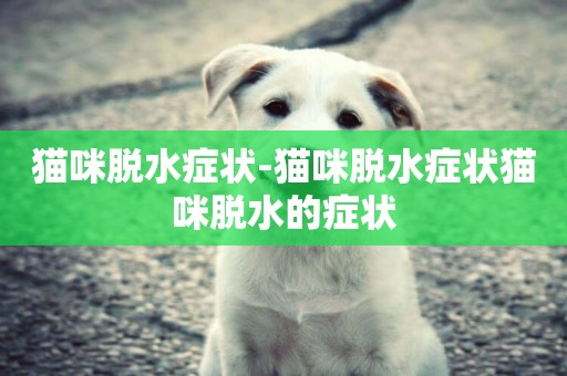貓咪脫水癥狀-貓咪脫水癥狀貓咪脫水的癥狀